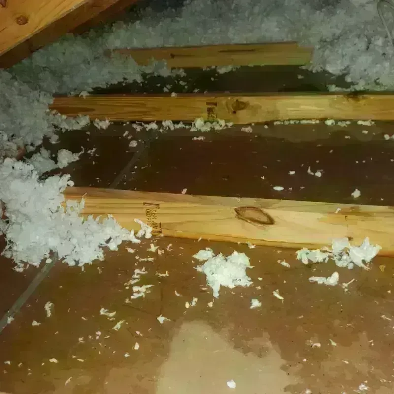 Attic Water Damage in Medway, MA