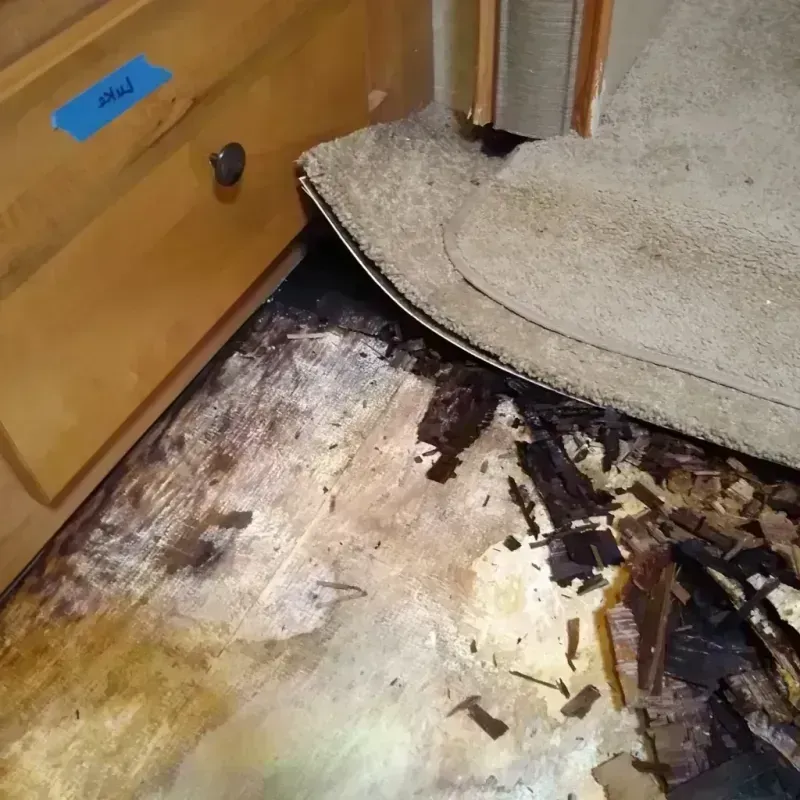 Best Wood Floor Water Damage Service in Medway, MA